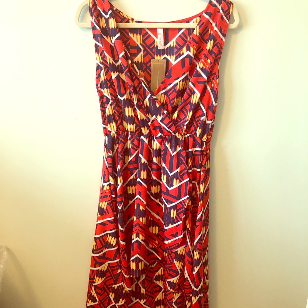 Francesca’s fun multicolored dress